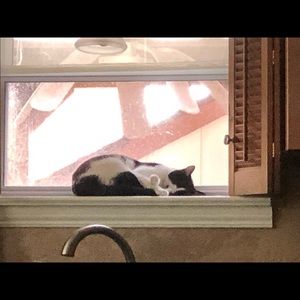 Meet your Posher, Amy